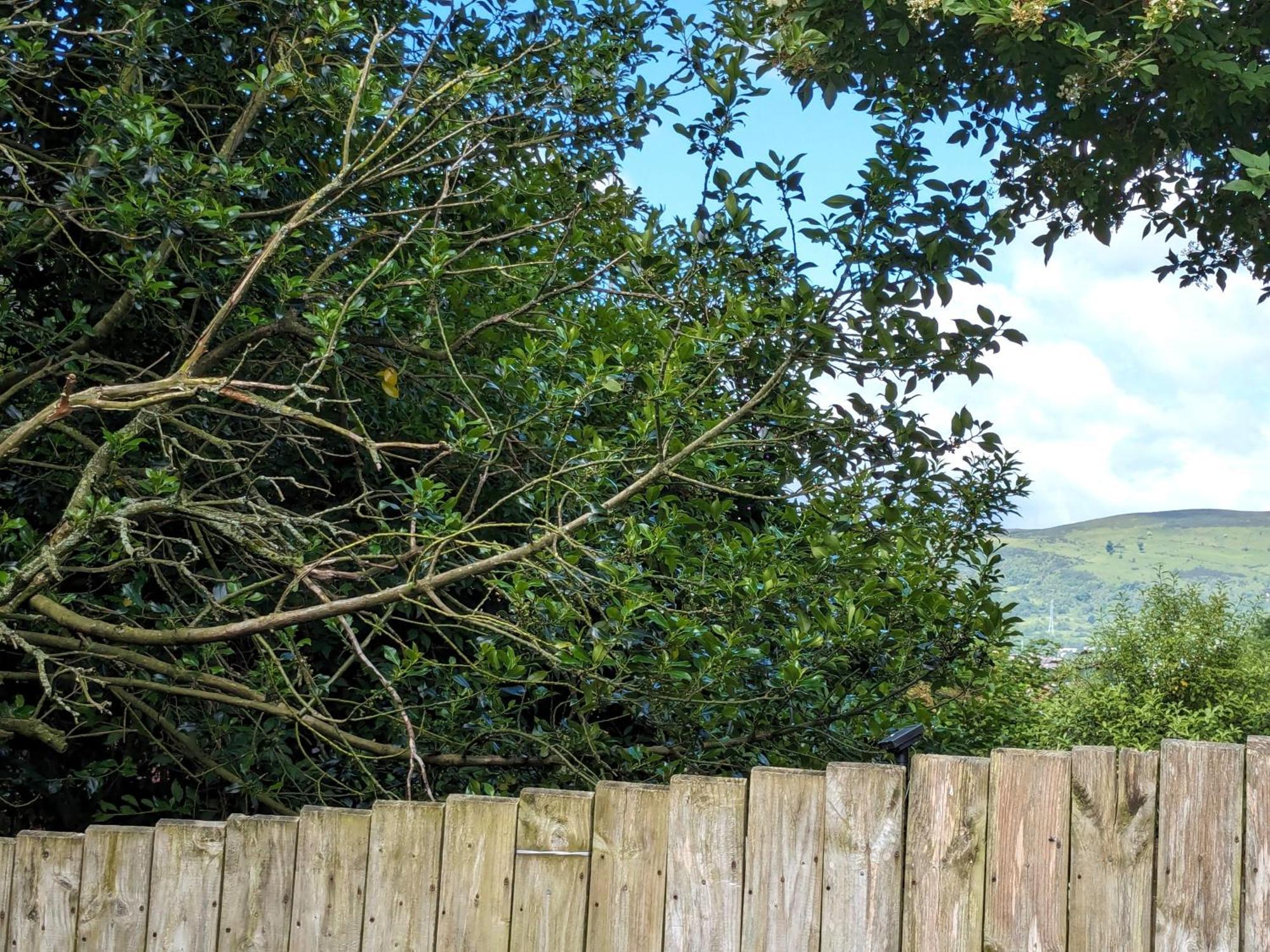 Heart Of Belfast With Private Garden Villa Ngoại thất bức ảnh